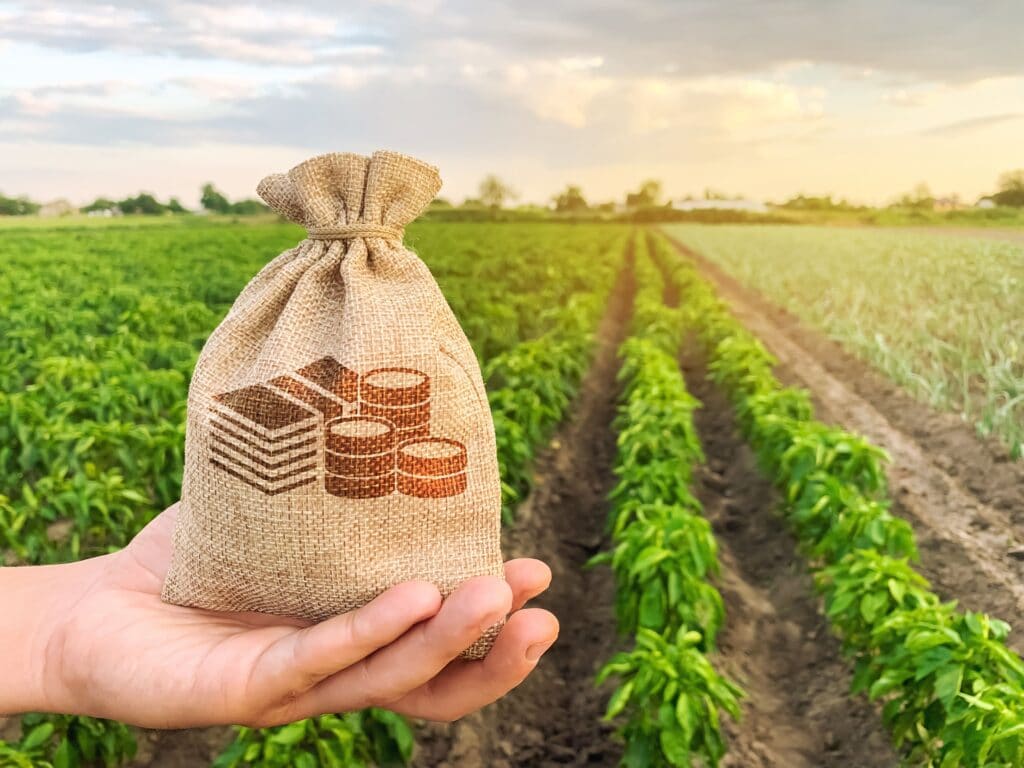 Schemaq - Mão segurando saca agrícola com dinheiro desenhado na saca e plantação de soja ao fundo.
