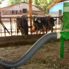 Schemaq Implementos Agrícolas