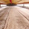 Schemaq Implementos Agrícolas