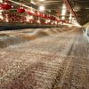 Schemaq Implementos Agrícolas