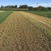 Schemaq Implementos Agrícolas