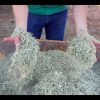 Schemaq Implementos Agrícolas
